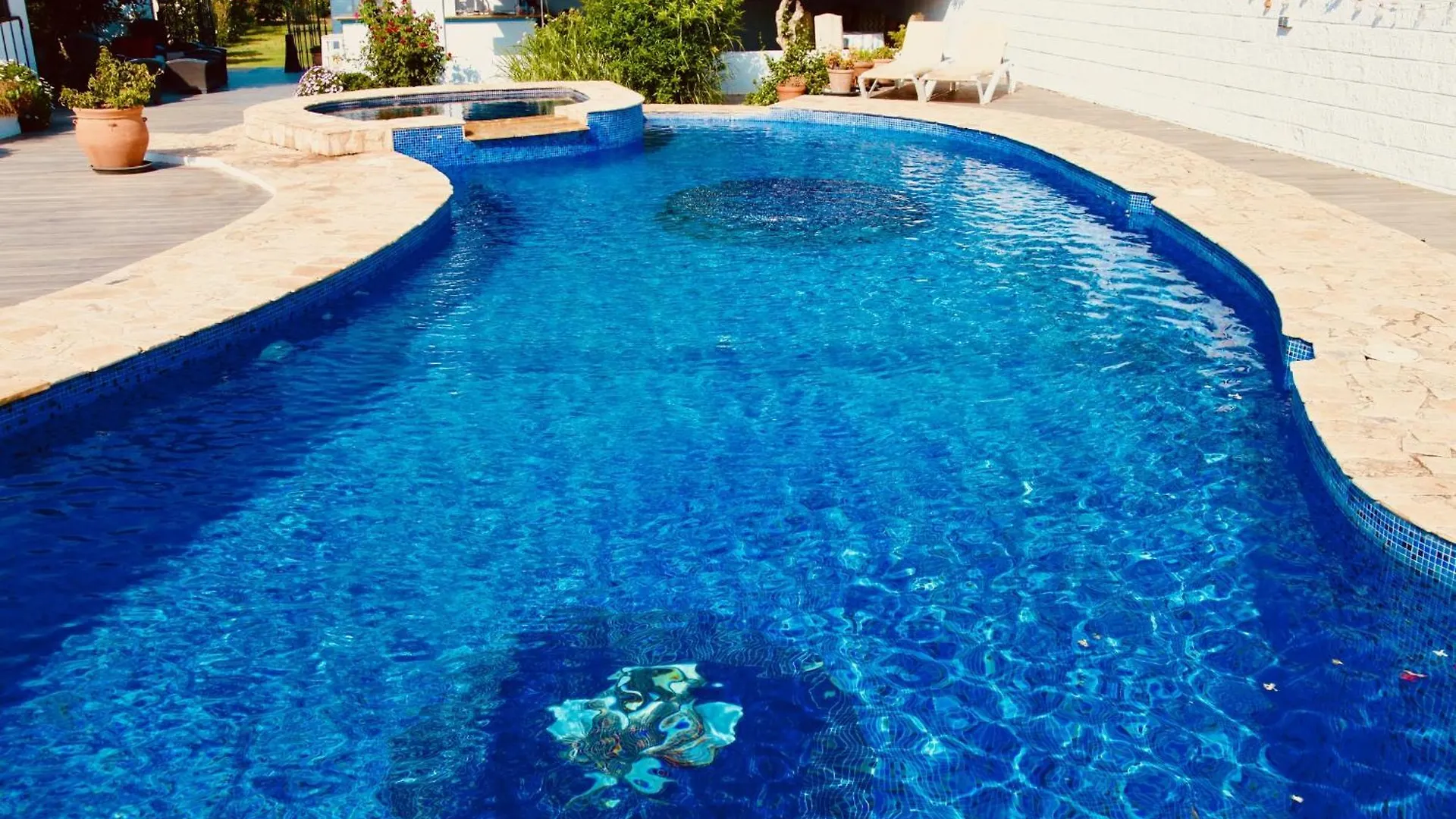 The Dragonfly Retreat Apartment Malaga