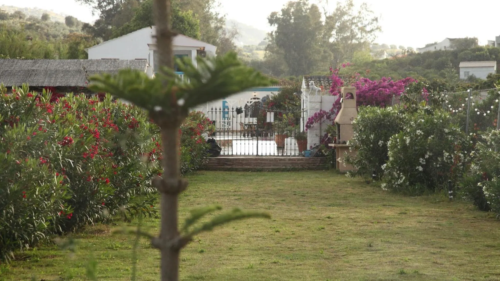 דירות מאלגה The Dragonfly Retreat