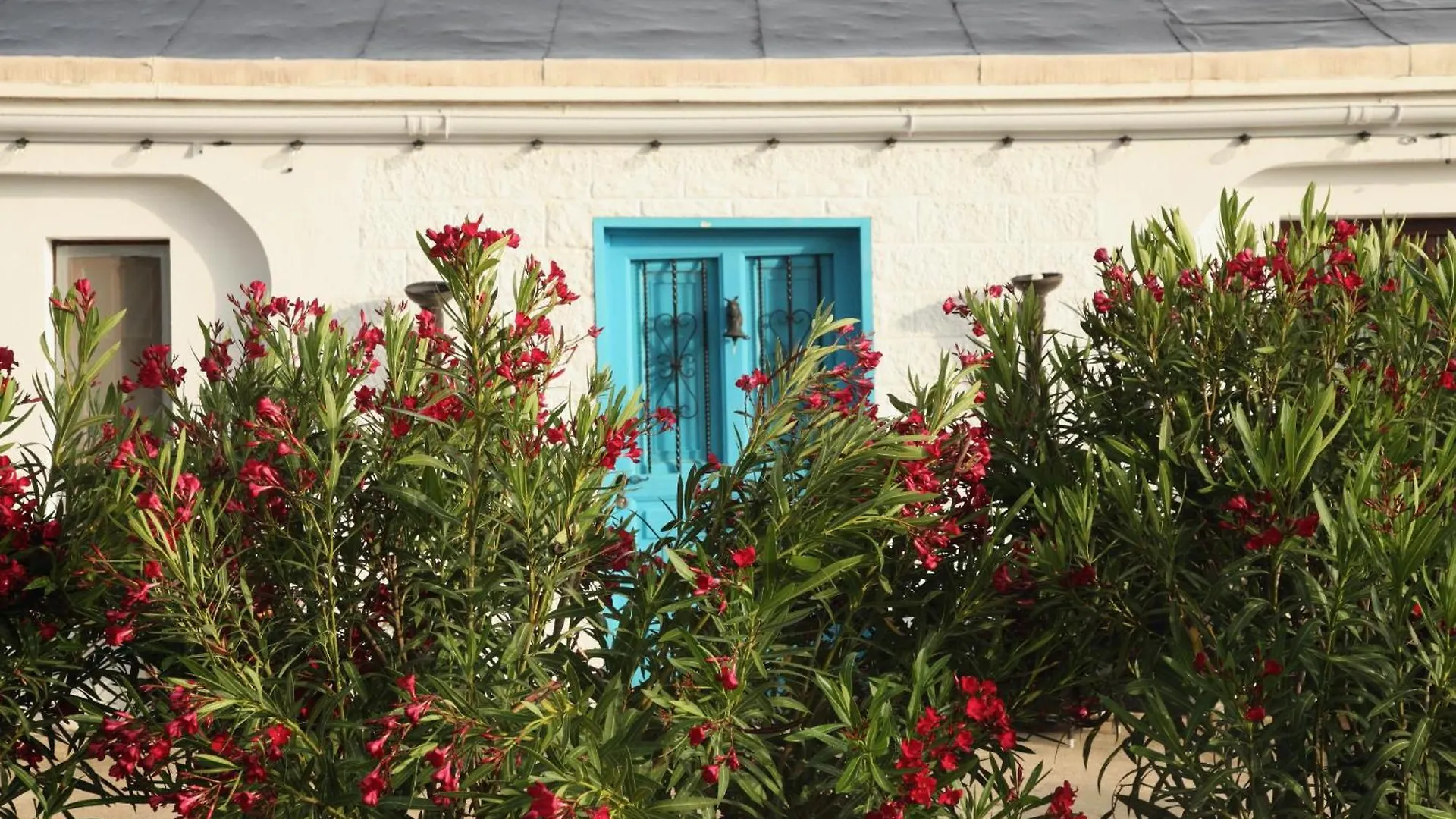 The Dragonfly Retreat Apartment Malaga