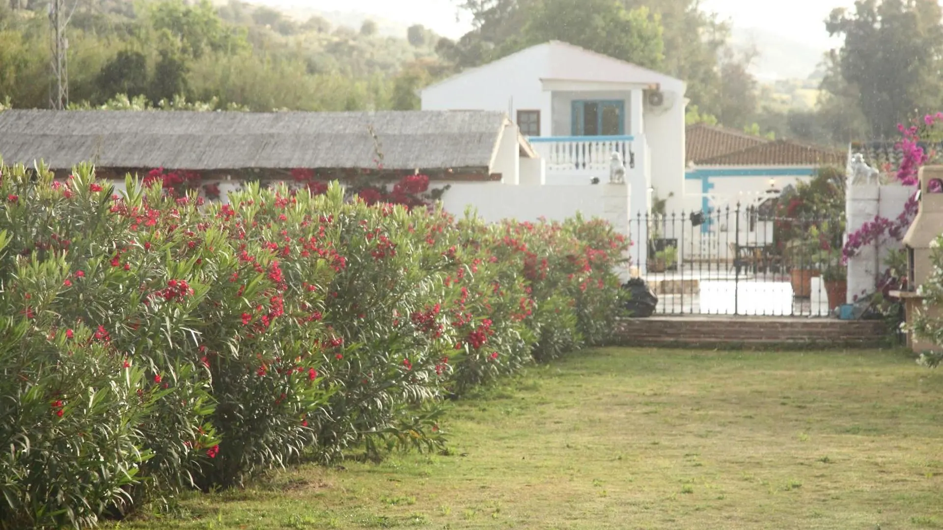 דירות מאלגה The Dragonfly Retreat