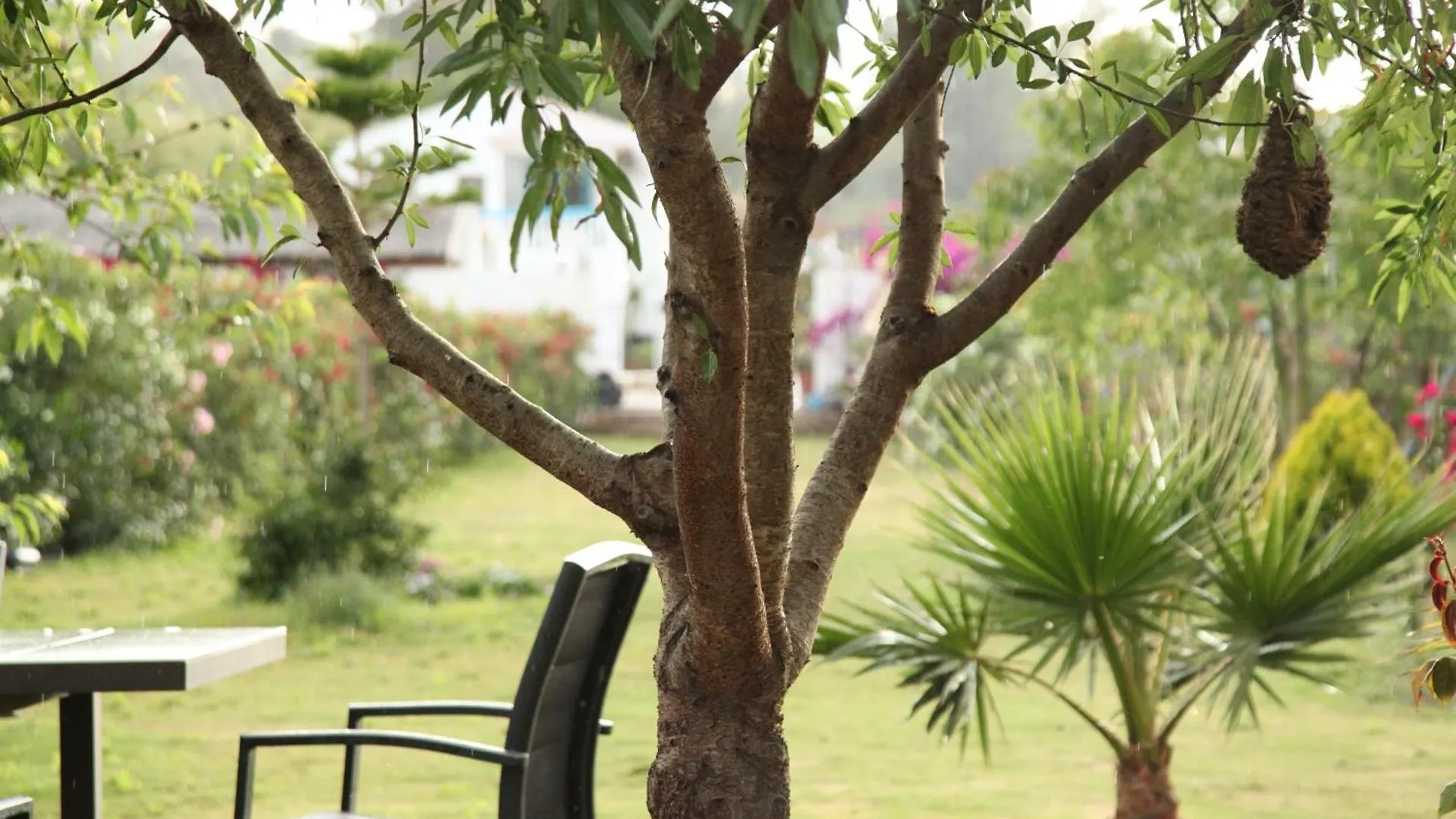 The Dragonfly Retreat Apartment Malaga