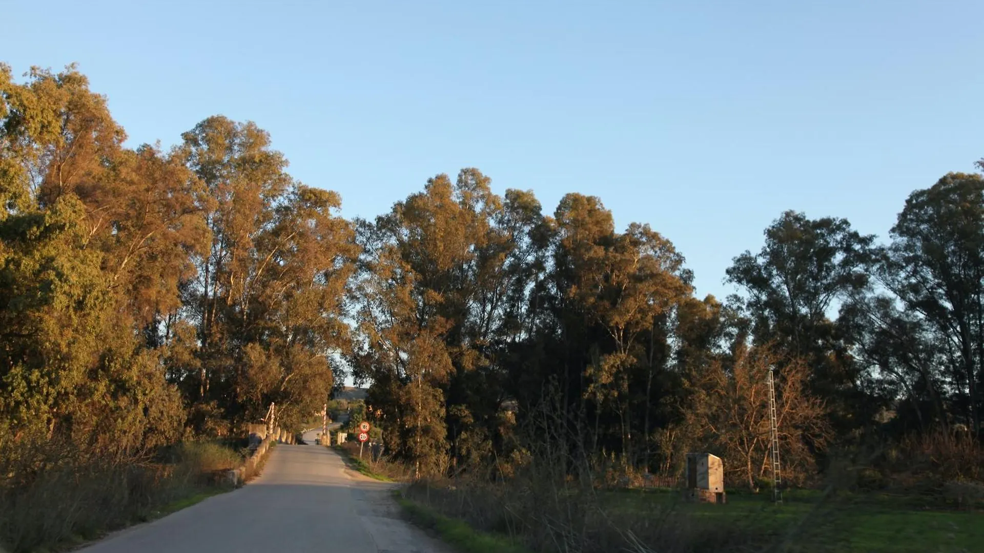 דירות מאלגה The Dragonfly Retreat