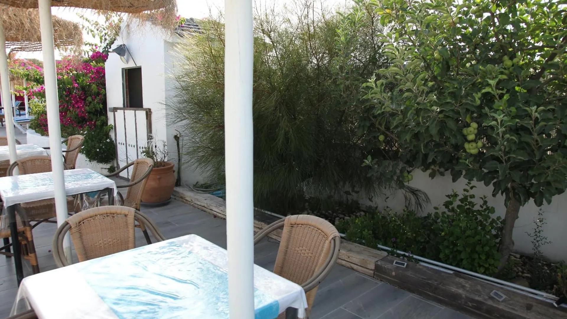 The Dragonfly Retreat Apartment Malaga