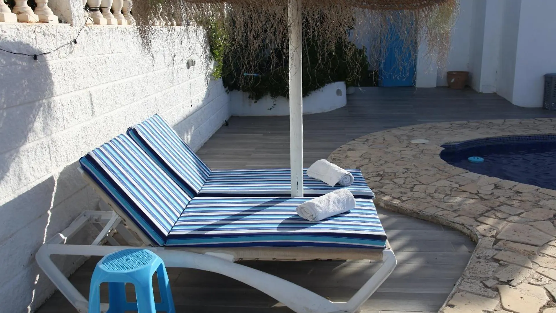 The Dragonfly Retreat Apartment Malaga