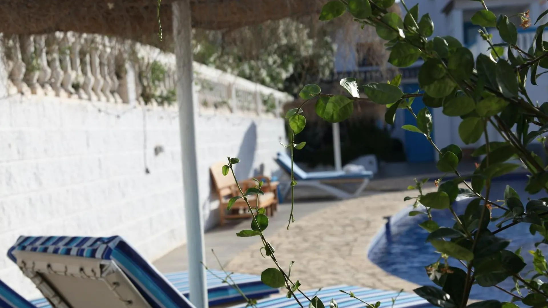 The Dragonfly Retreat Apartment Malaga