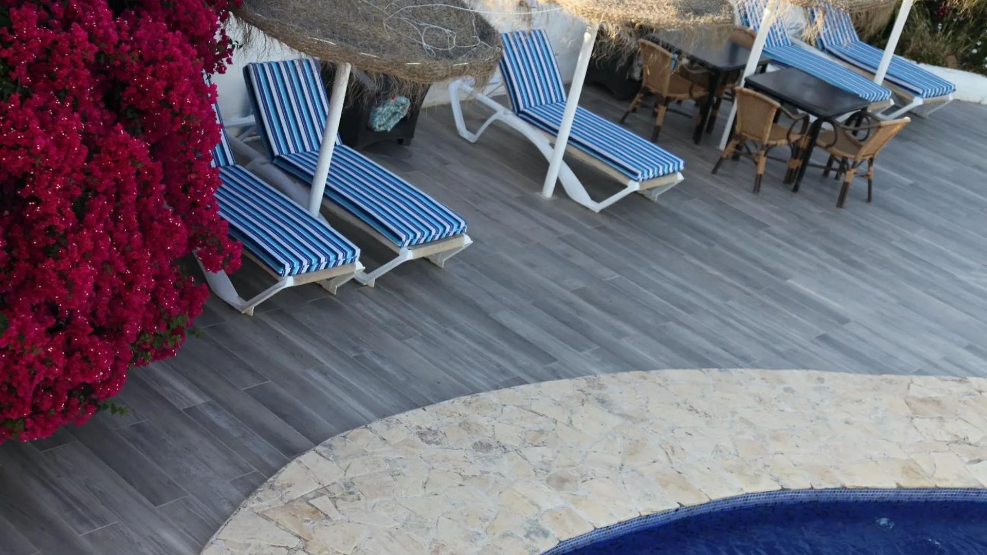 The Dragonfly Retreat Apartment Malaga