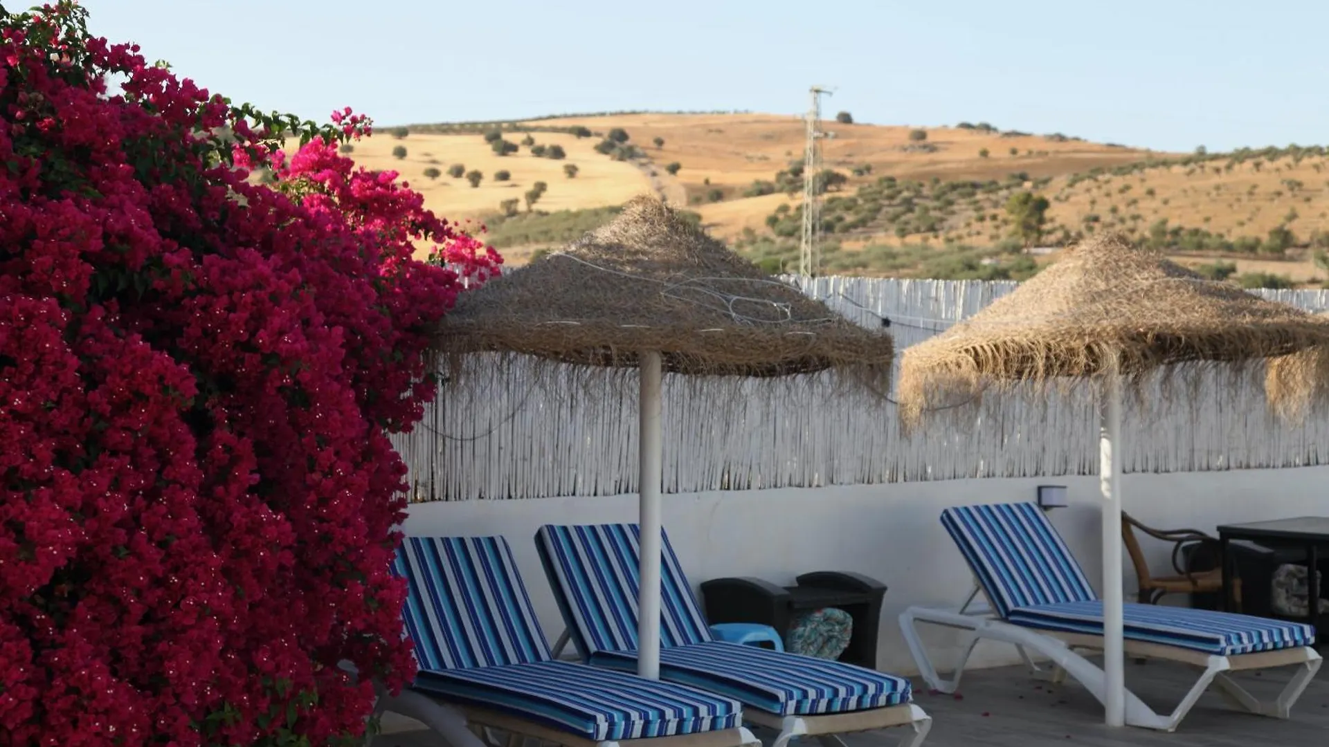 The Dragonfly Retreat Apartment Malaga Spain