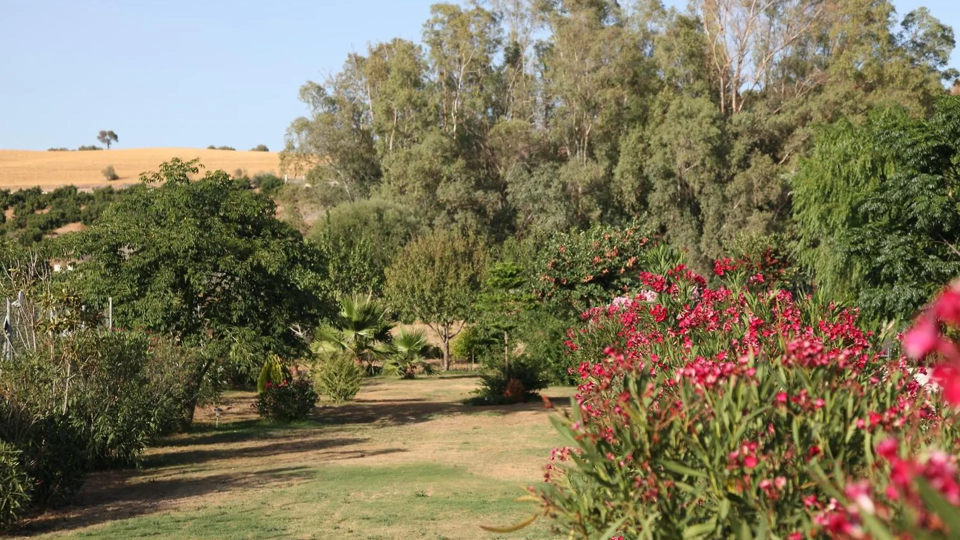 The Dragonfly Retreat Apartment Malaga 0*,  Spain