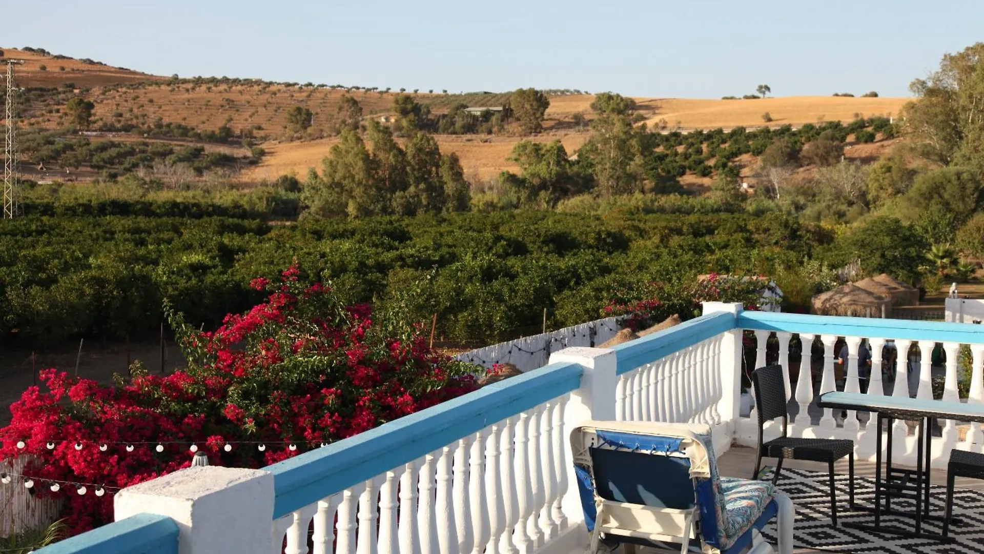 The Dragonfly Retreat Apartment Malaga Spain