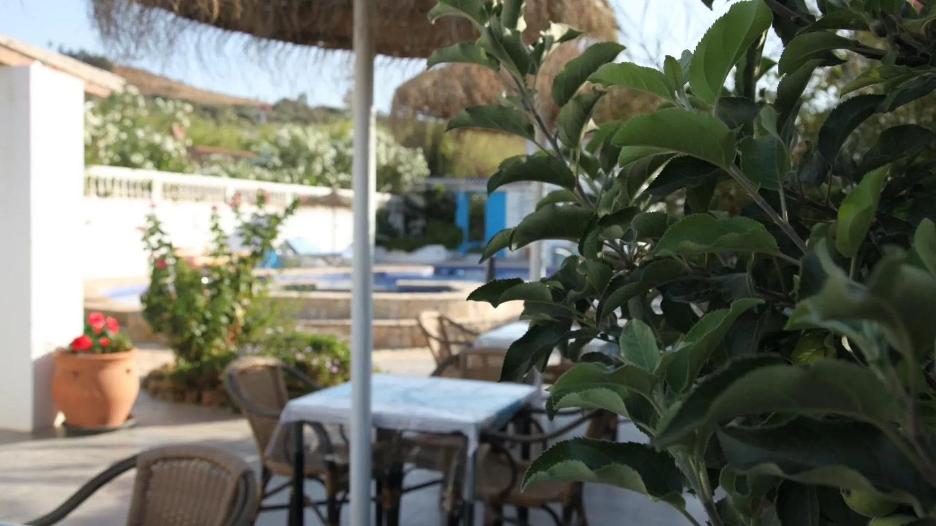 The Dragonfly Retreat Apartment Malaga 0*,  Spain