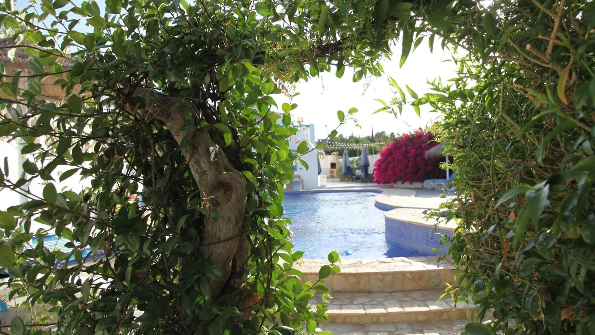 The Dragonfly Retreat Apartment Malaga