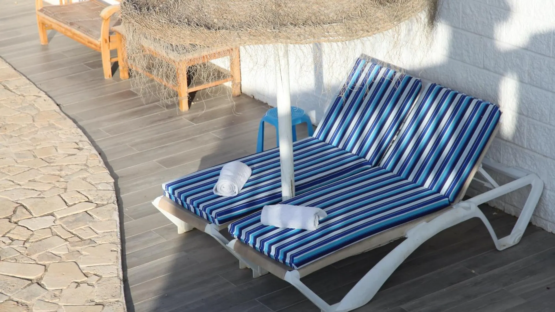 The Dragonfly Retreat Apartment Malaga