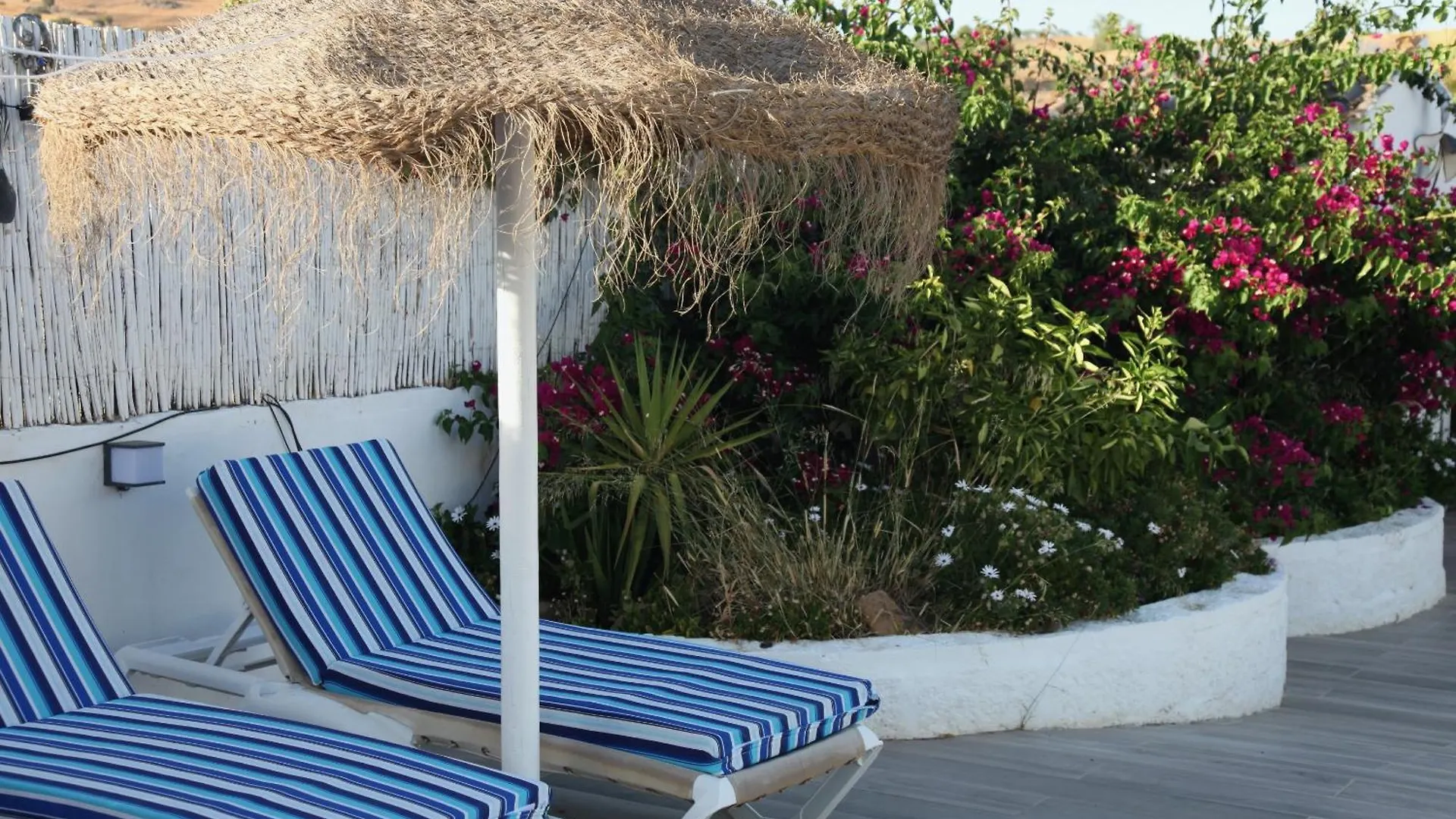 The Dragonfly Retreat Apartment Malaga