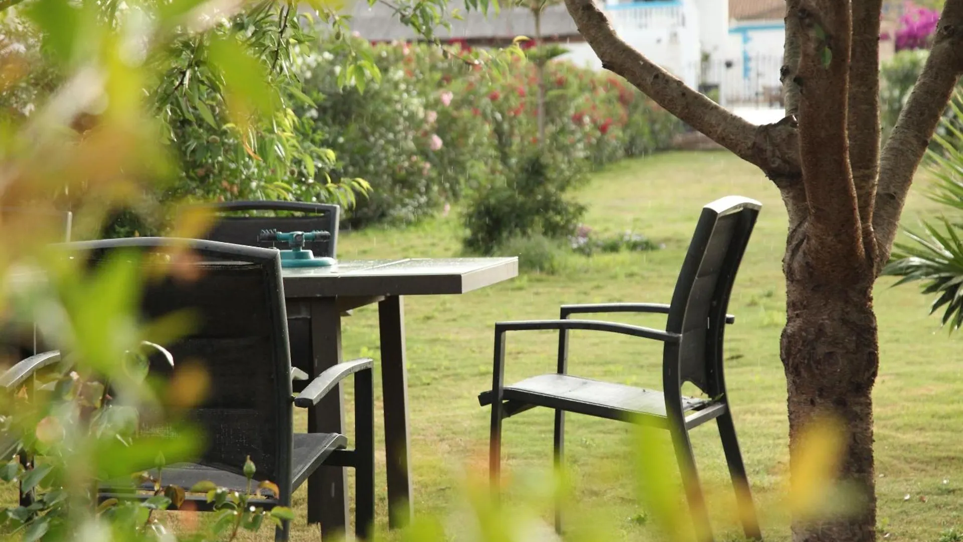 Апартаменты The Dragonfly Retreat Малага